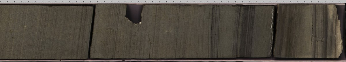 彩色光學線性掃描成像系統(tǒng)Colour line scan camera imaging system（彩色照相）(圖3)